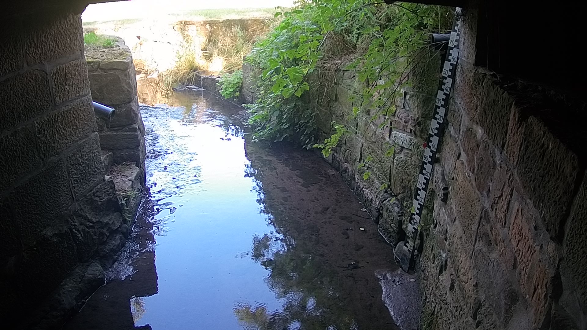 Wasserpegel