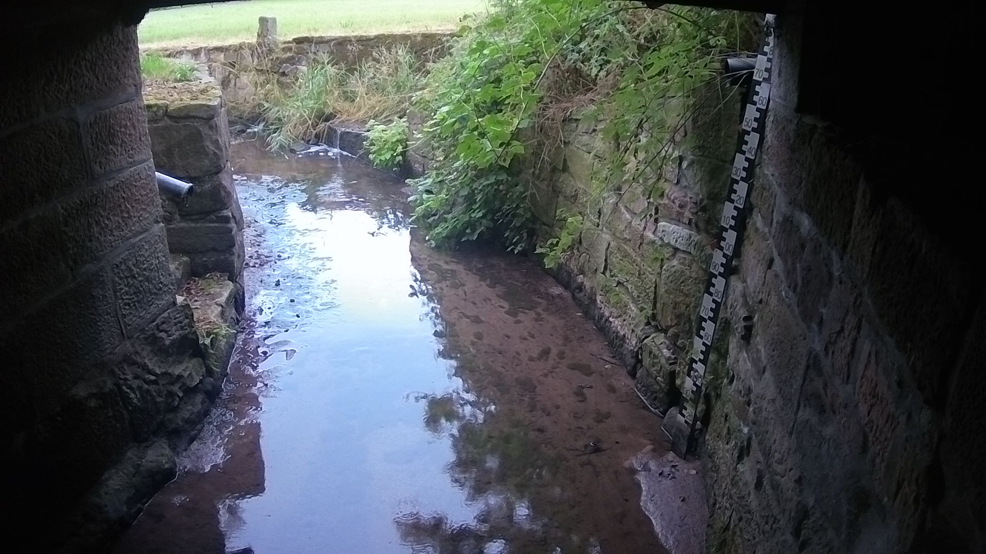 Wasserpegel