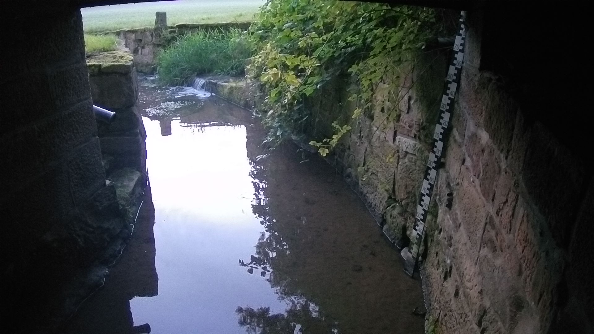Wasserpegel