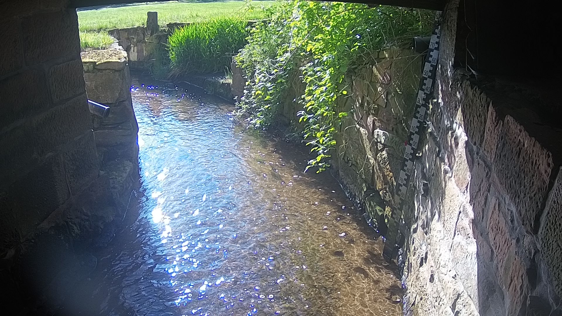 Wasserpegel