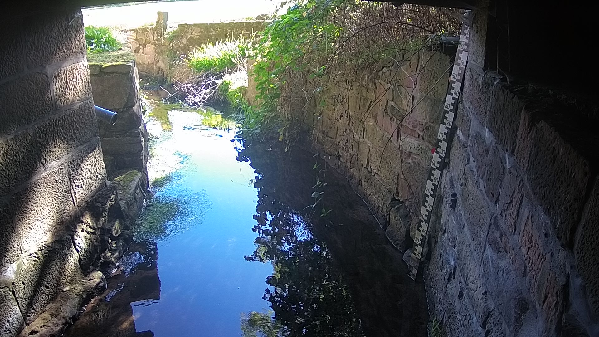 Wasserpegel