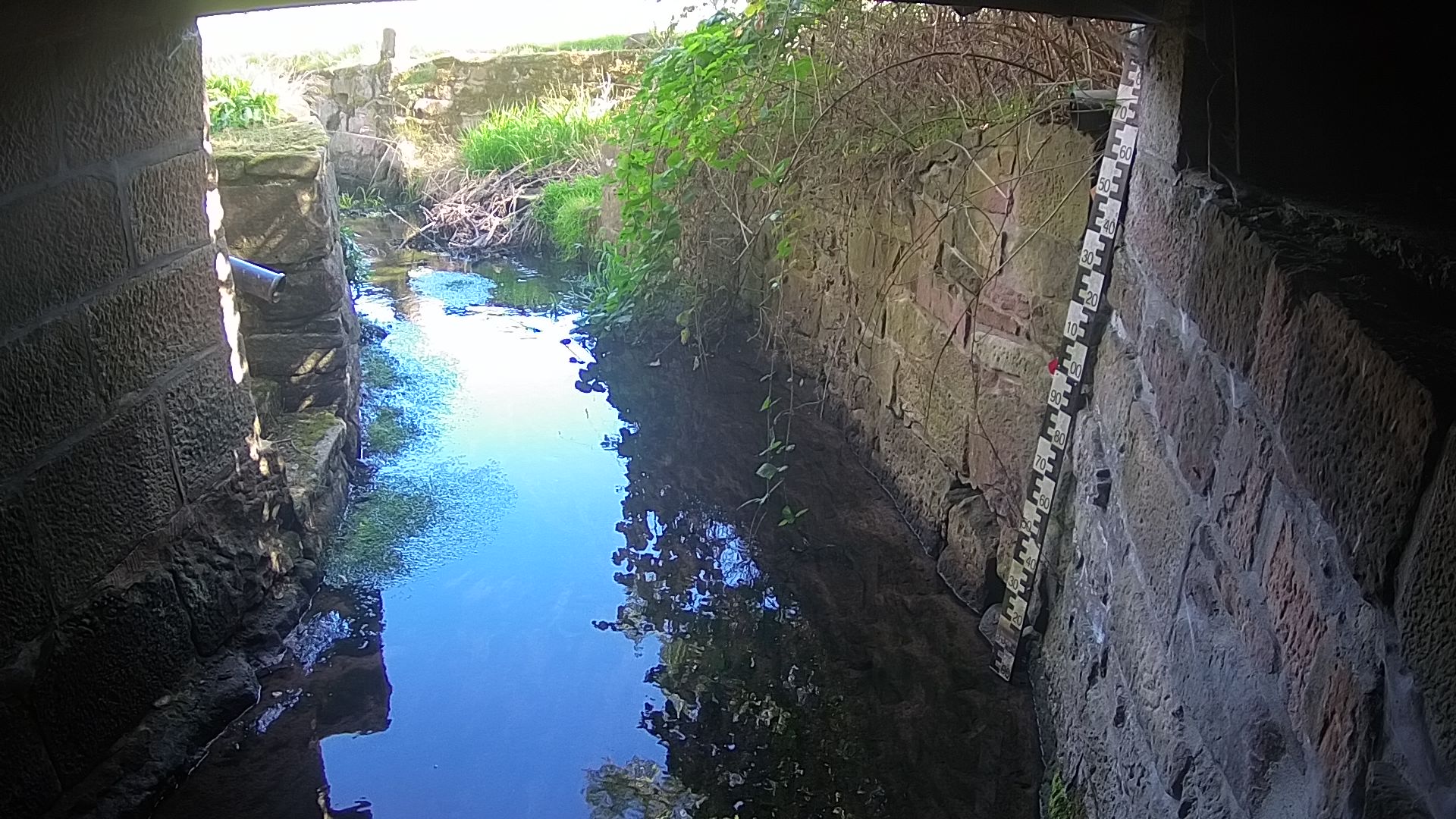 Wasserpegel