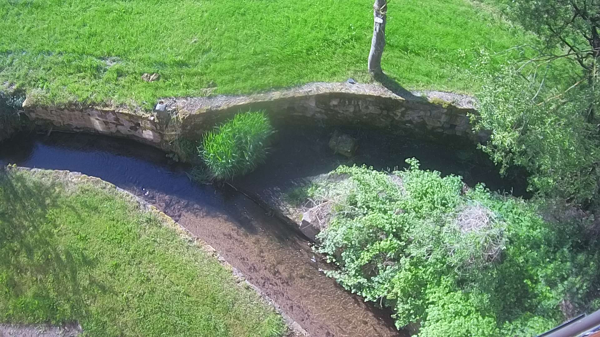 Wasserauslauf