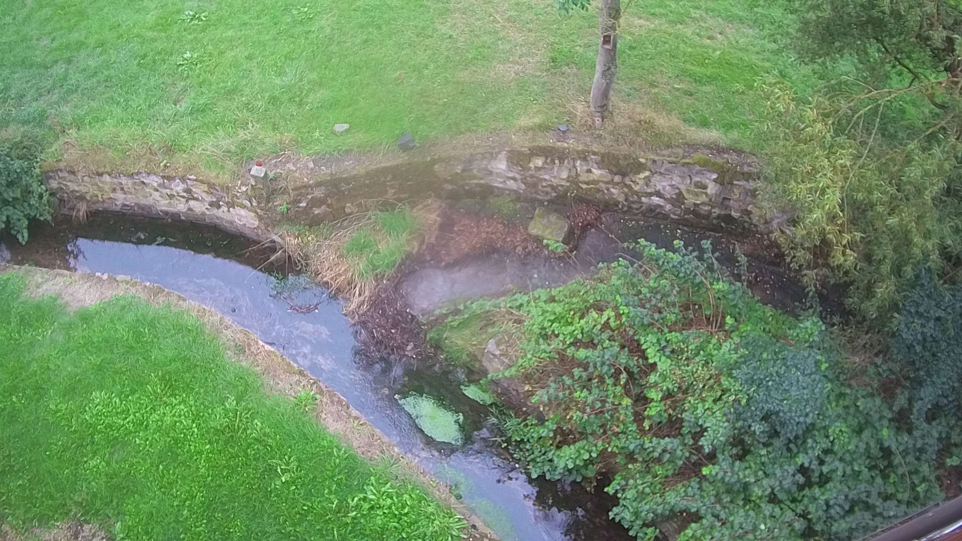 Wasserauslauf